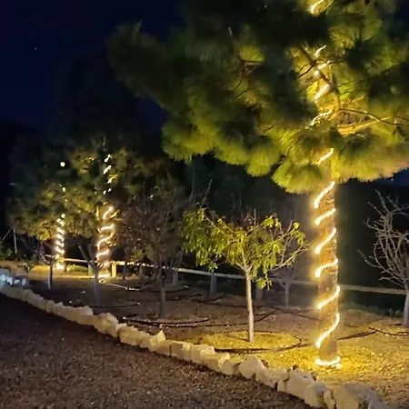 La Baifa Santa Cruz de Tenerife